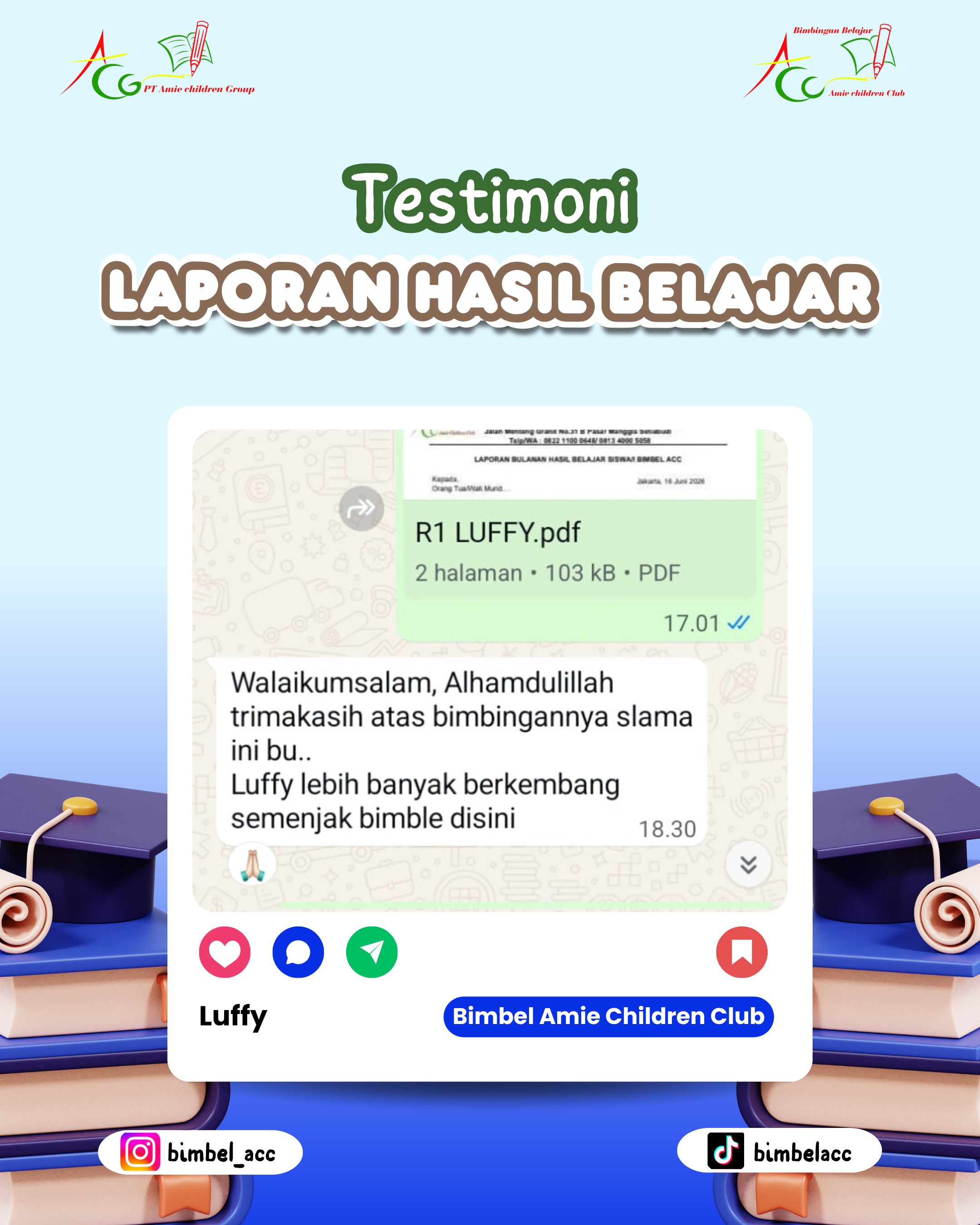 Testimoni Luffy